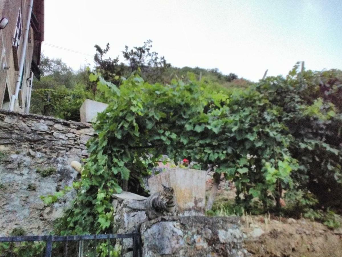 Ferienwohnung Casa Quaratica Riccò del Golfo di Spezia Exterior foto